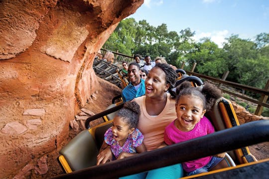 Walt Disney World 4-Day, 4-Park Magic ticket