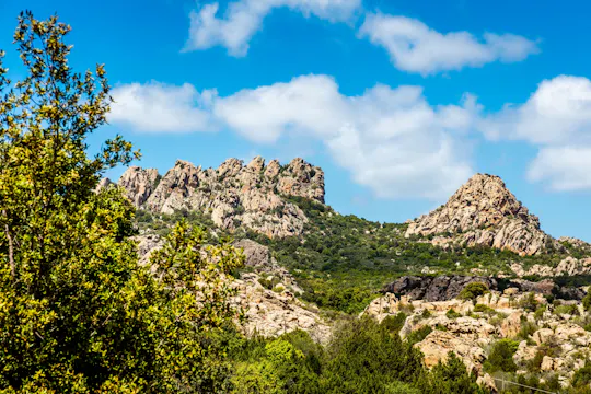 Discover Wonderful Gallura with Lunch