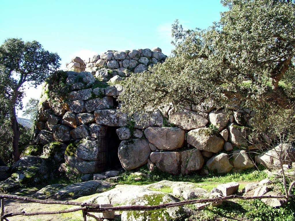 Discover Wonderful Gallura with Lunch