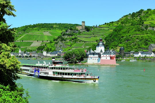 Castles sightseeing cruise on the Rhine