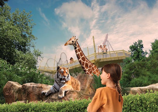 Bellewaerde theme park entrance ticket