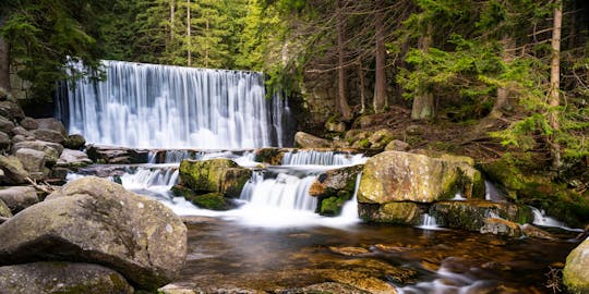 Full-day private guided tour to Bach Ma National Park from Hue