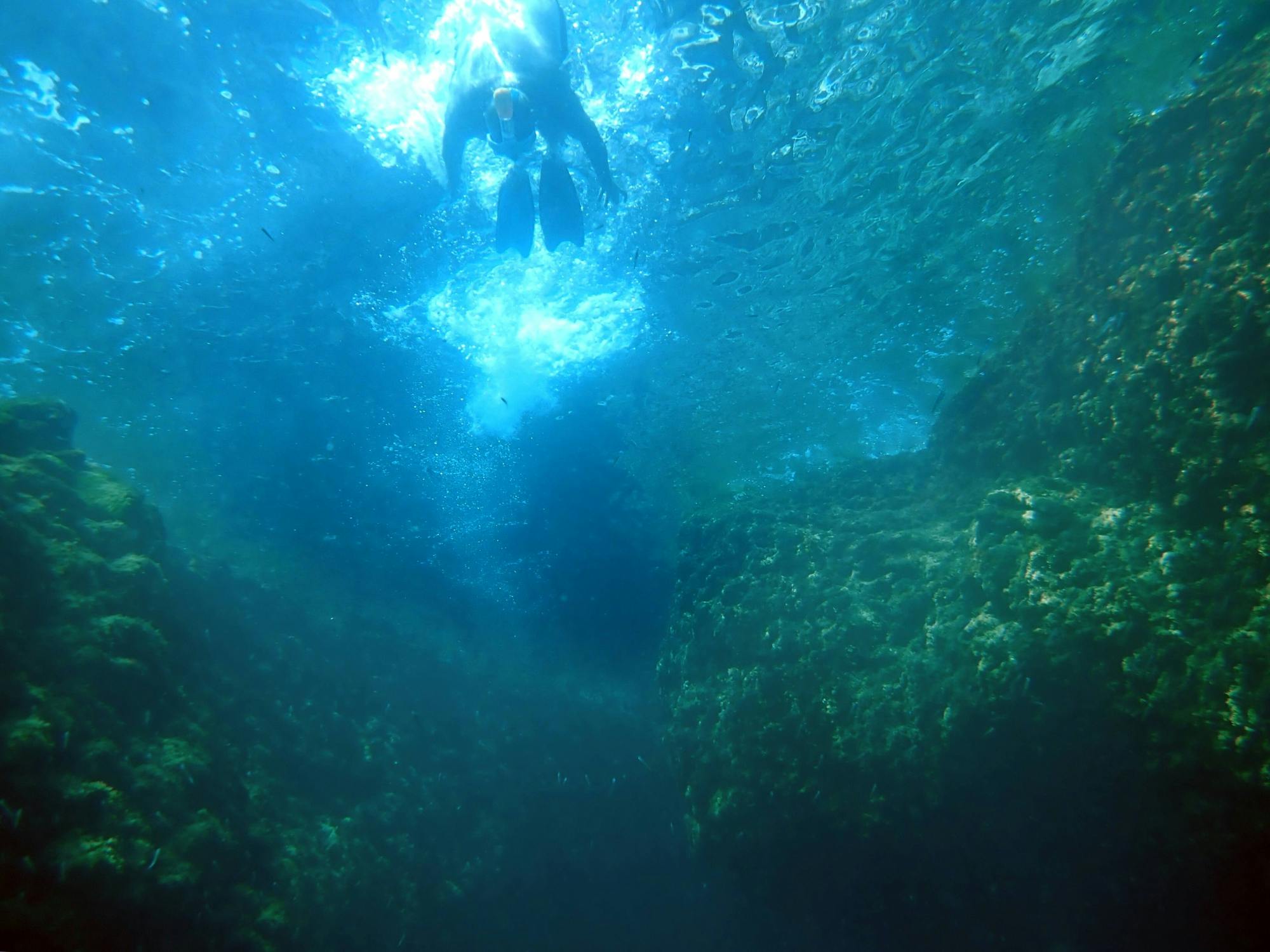 Snorkelling Rhodes