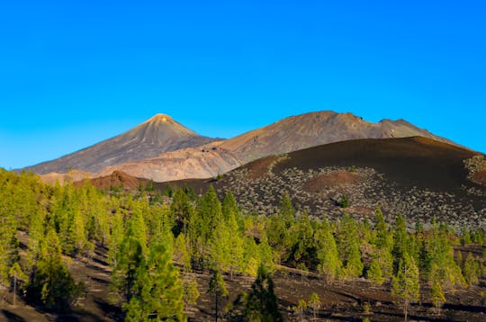 Teide nationalpark utflykt med lokalguide