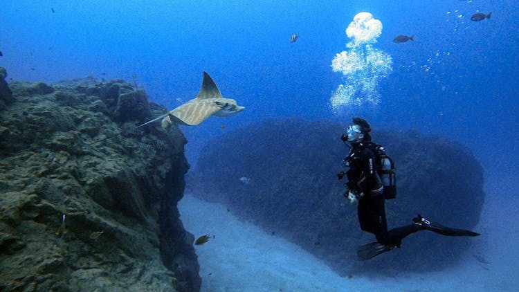 Atlantis Diving Experiences for Certified Divers