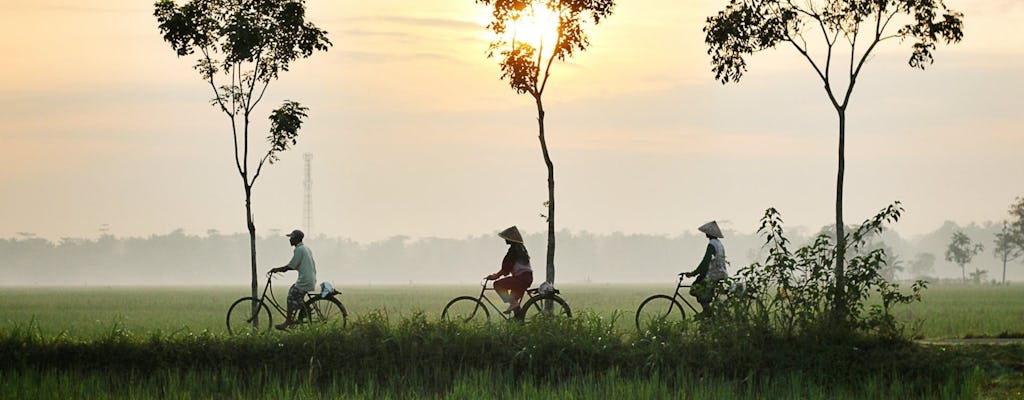 Tour à vélo privé d'une demi-journée dans la campagne de Hoi An