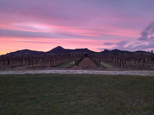 Experiencia gastronómica y vinícola de Alghero en una bodega