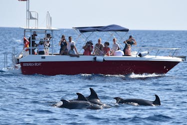 Expérience avec les dauphins d’Alghero et visite guidée de plongée en apnée