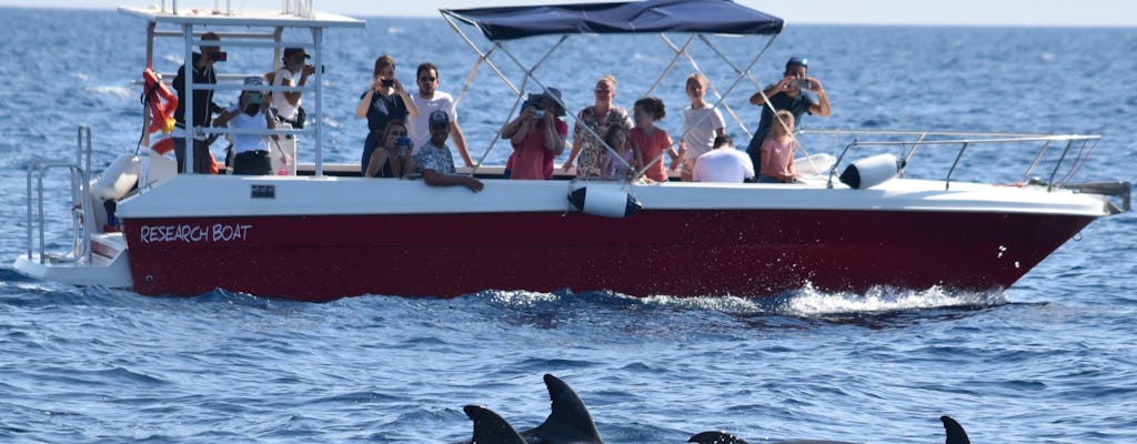 Experiência com golfinhos em Alghero e passeio guiado de mergulho com snorkel
