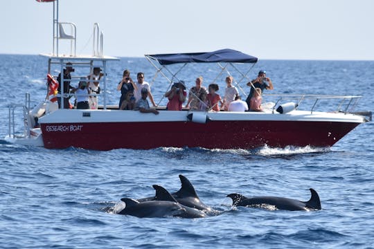 Alghero-Delfinerlebnis und geführte Schnorcheltour
