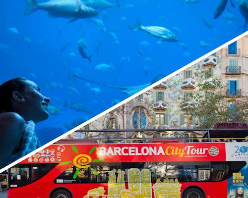 Billets de bus à arrêts multiples dans la ville de Barcelone avec l'aquarium