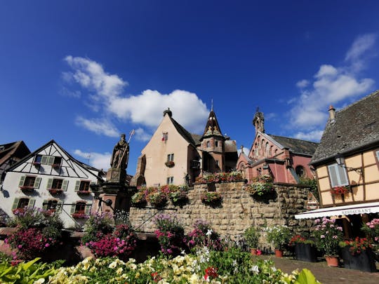 Tour de medio día por la tarde por los pueblos de Alsacia y cata de vinos.