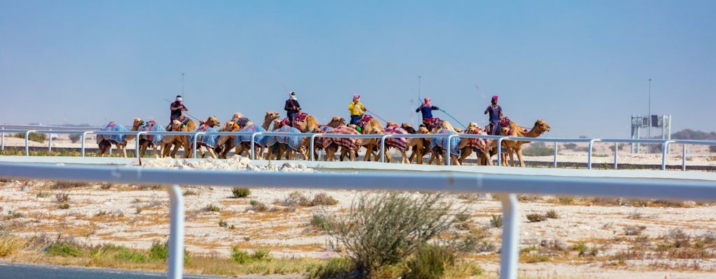 Excursão privada ao Museu Sheikh Faisal e Al Shahaniya Camel Track