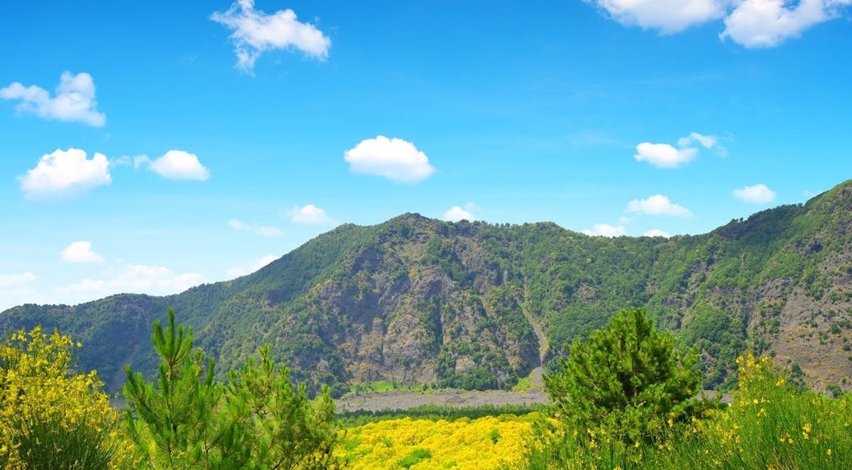 Tour facile del Vesuvio con trasferimento da Napoli