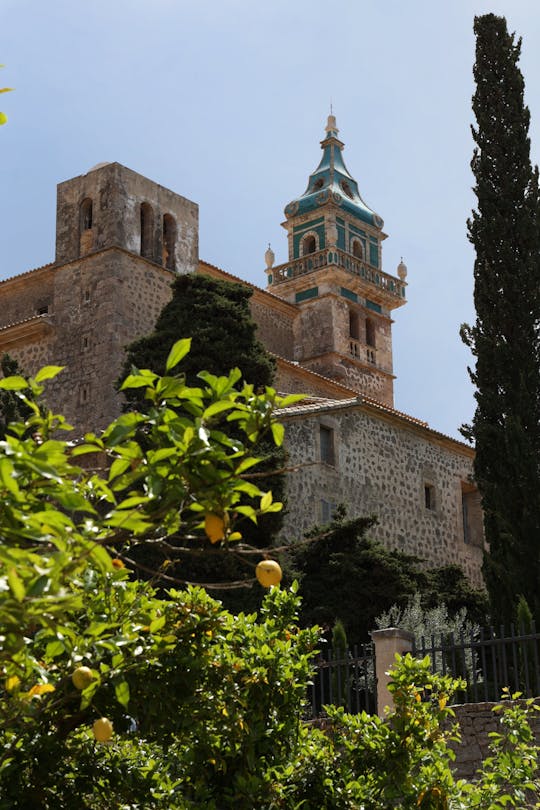 Extra virgin olive oil guided tasting in Valldemossa