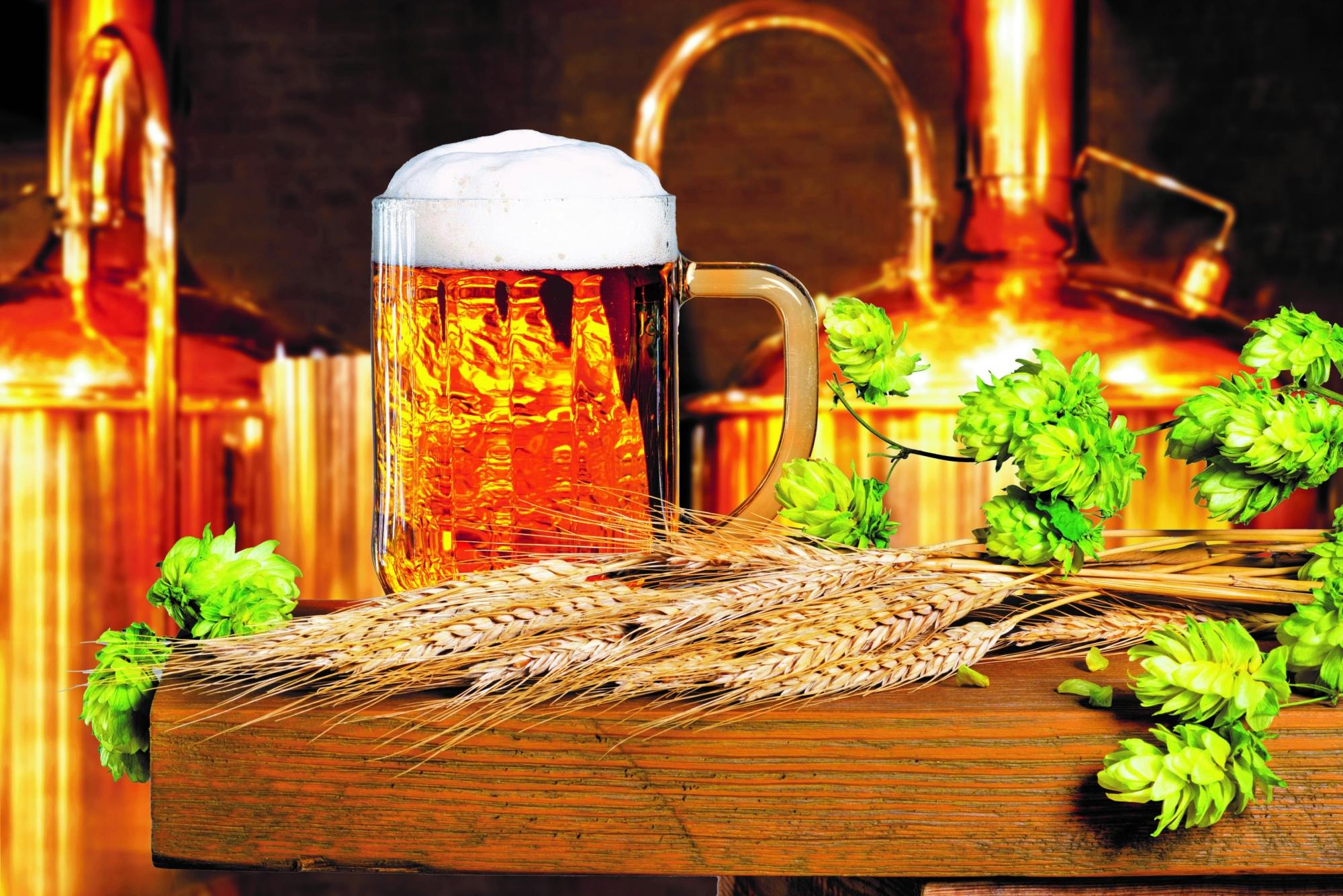 River Cruises Collection: Spessart Brewery Tour