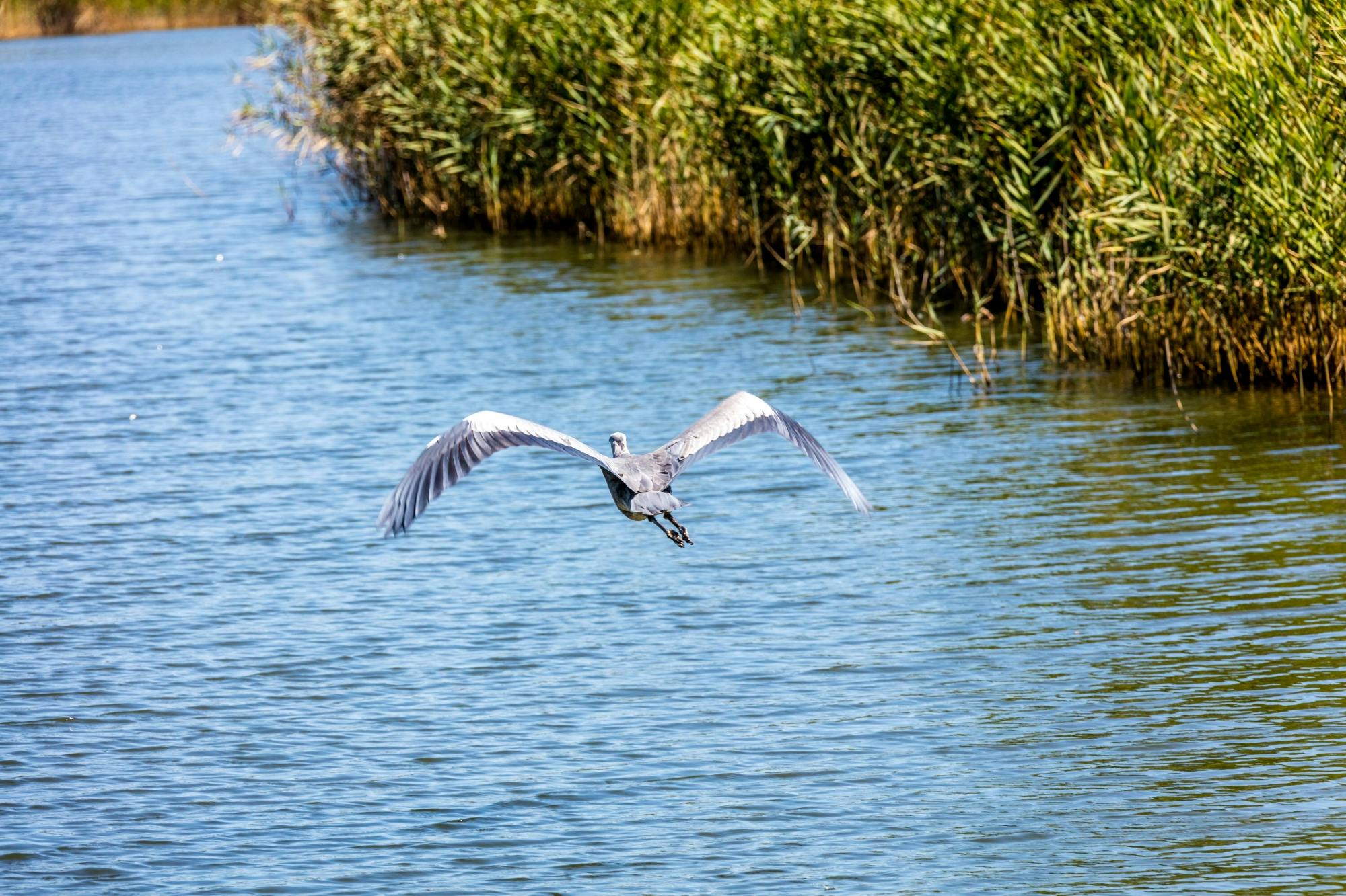 Organic Farm and Wine Tour with Burgas Guided Walk