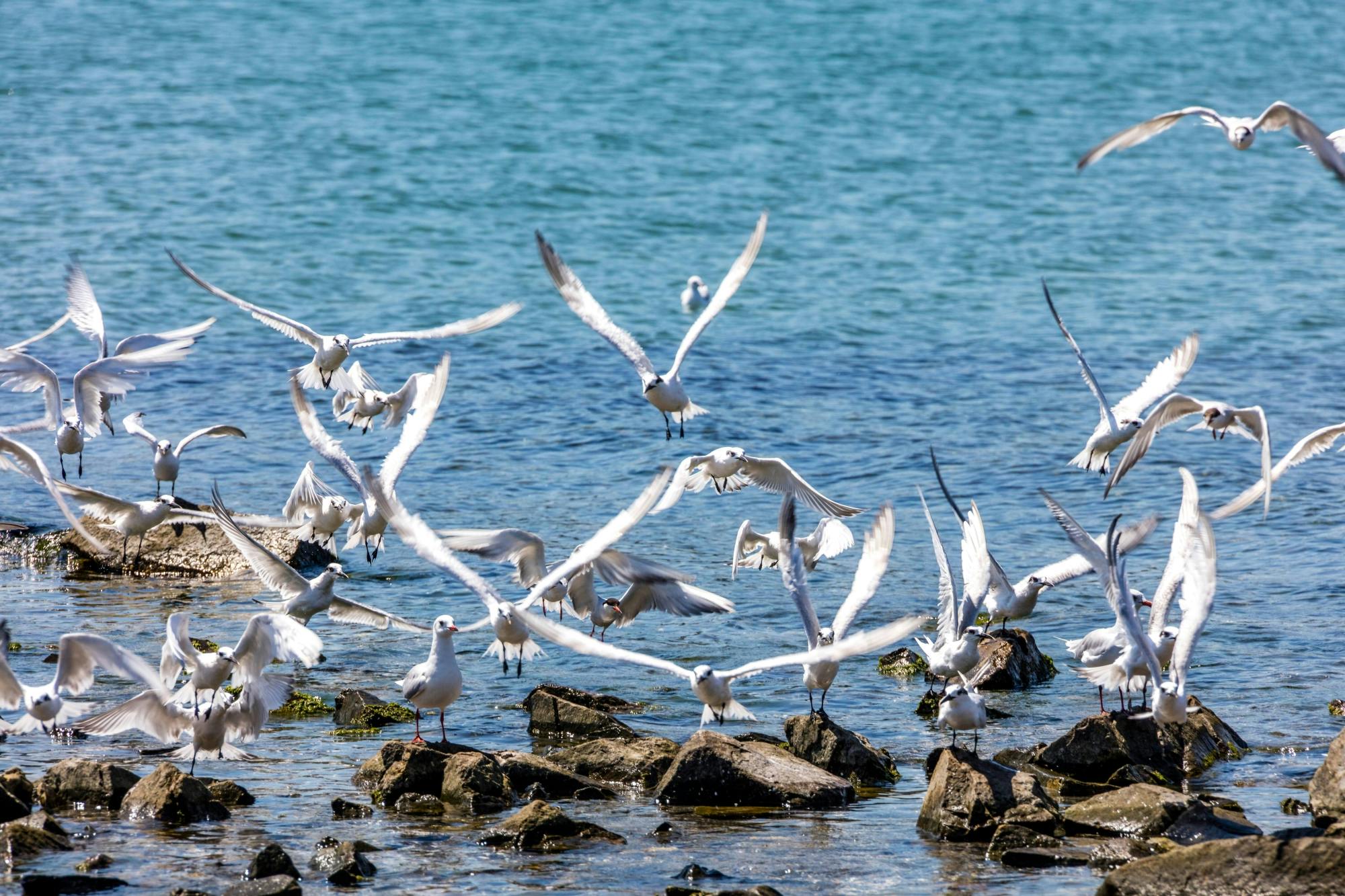 Organic Farm and Wine Tour with Burgas Guided Walk