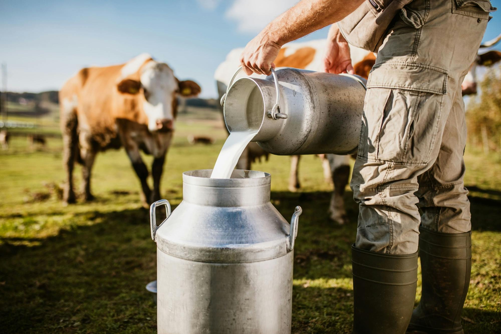 Biologische Boerderij en Wijn Tour met Rondleiding Burgas