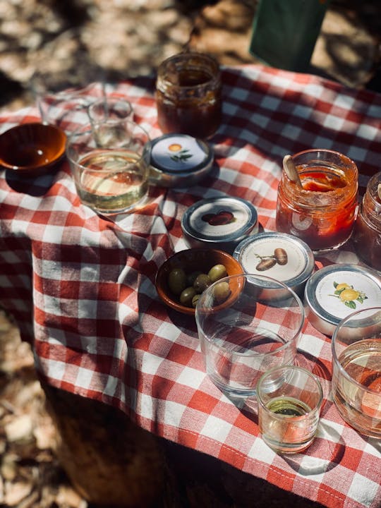 Tour dell'oliveto con picnic maiorchino a Valldemossa