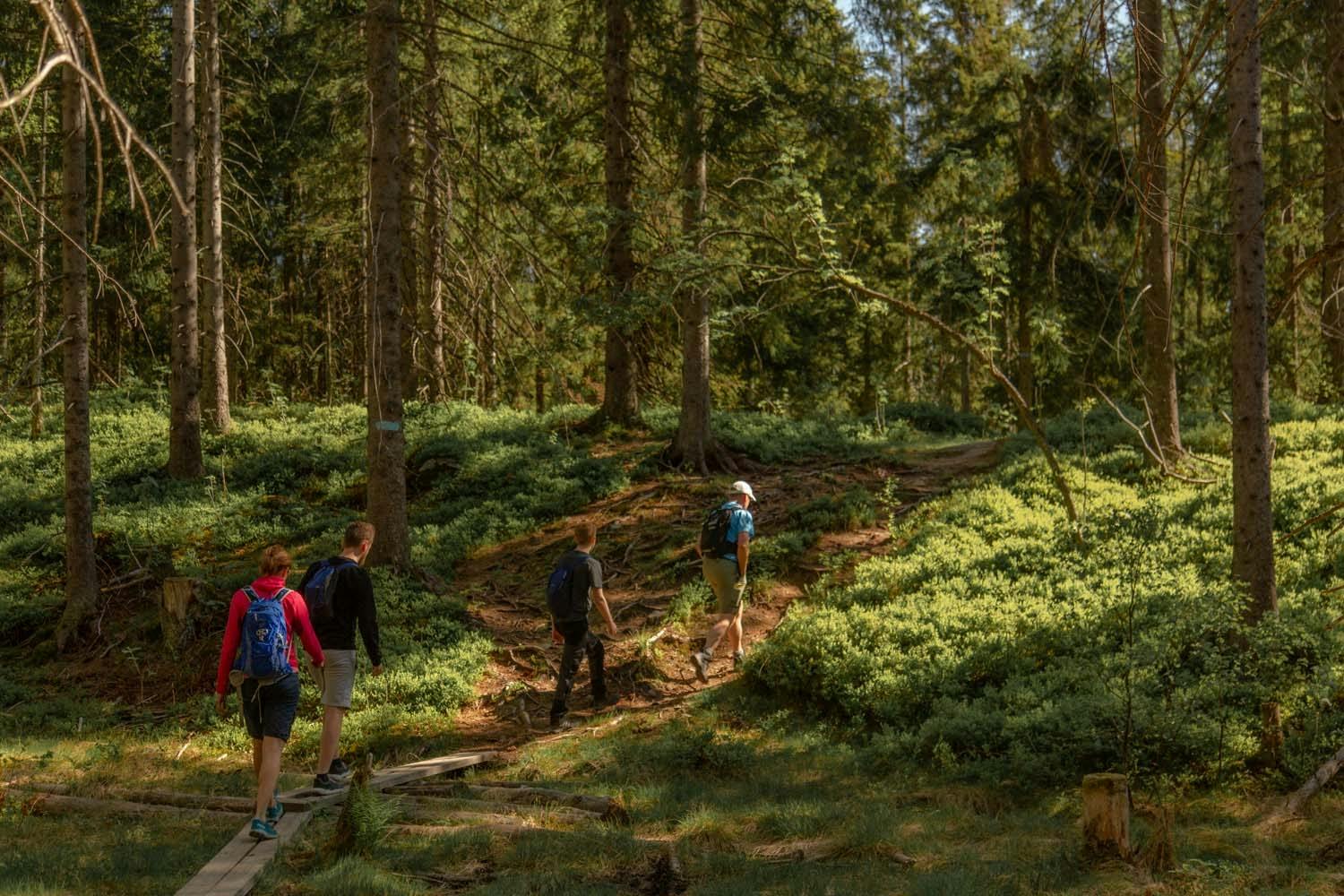 Wandertour durch den Osloer Wildtierwald