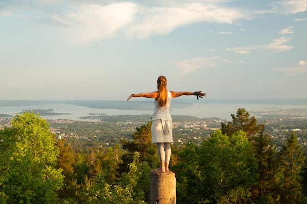 Ammira le viste panoramiche sul fiordo di Oslo durante un tour a piedi