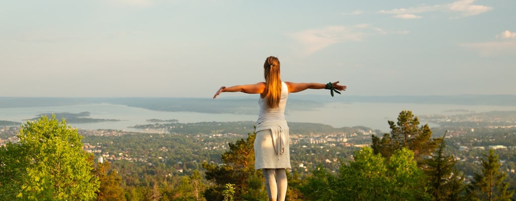 Ammira le viste panoramiche sul fiordo di Oslo durante un tour a piedi