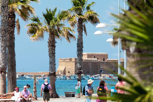 Sea Star Half-day Cruise Ticket