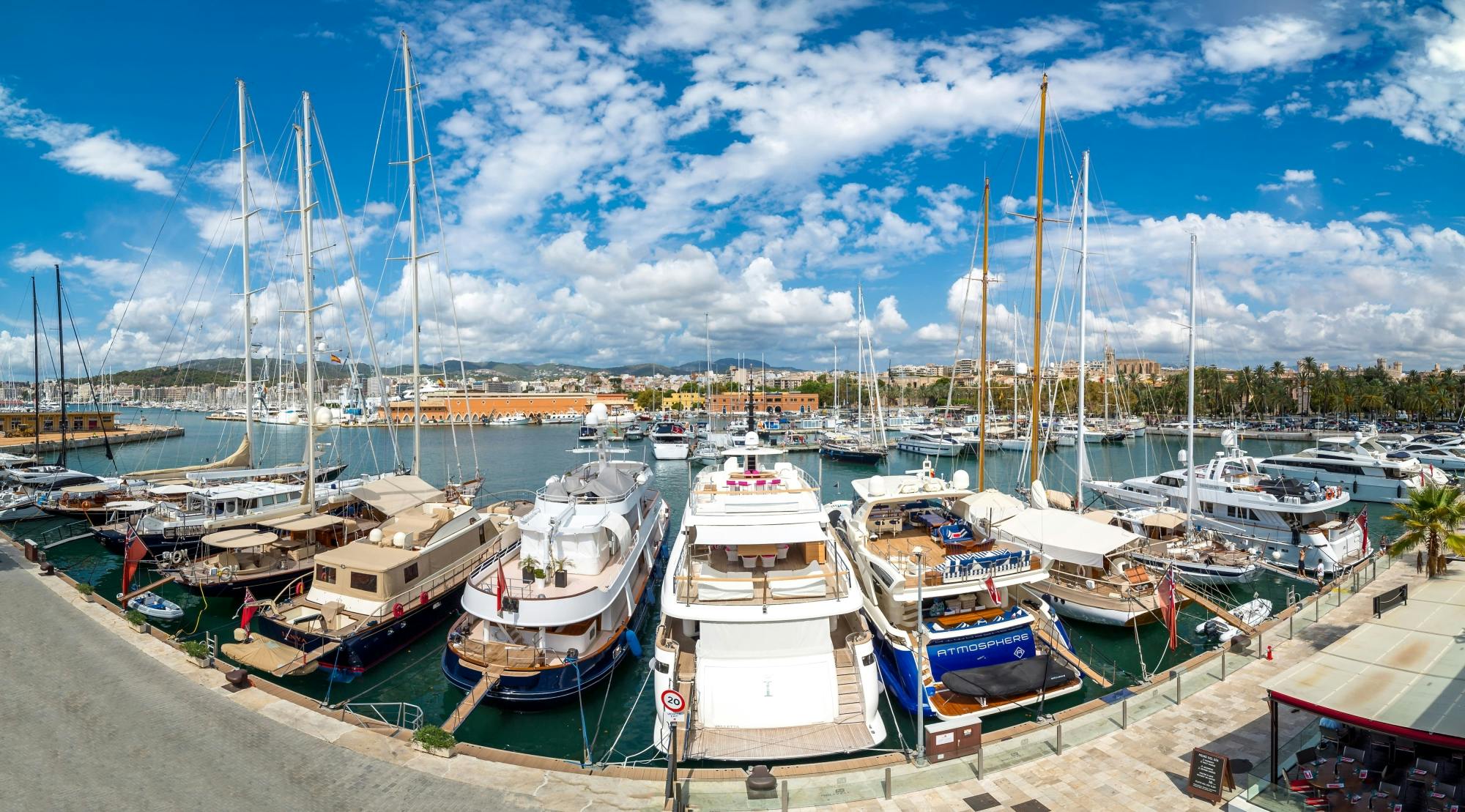 Palma by Night with Optional Guided Tour