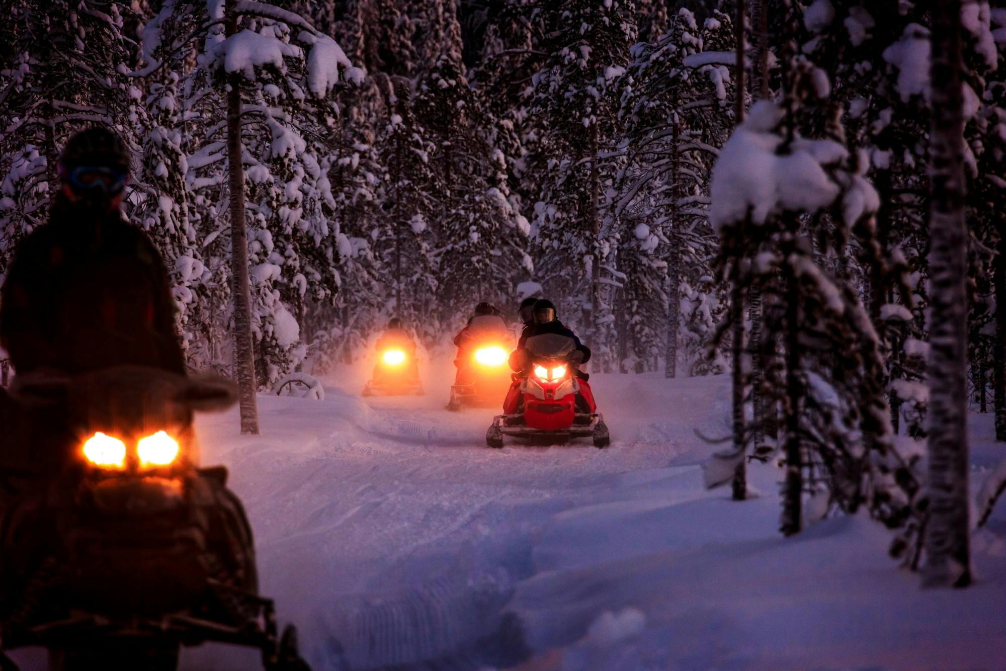 Tour notturno in motoslitta a Kuusamo