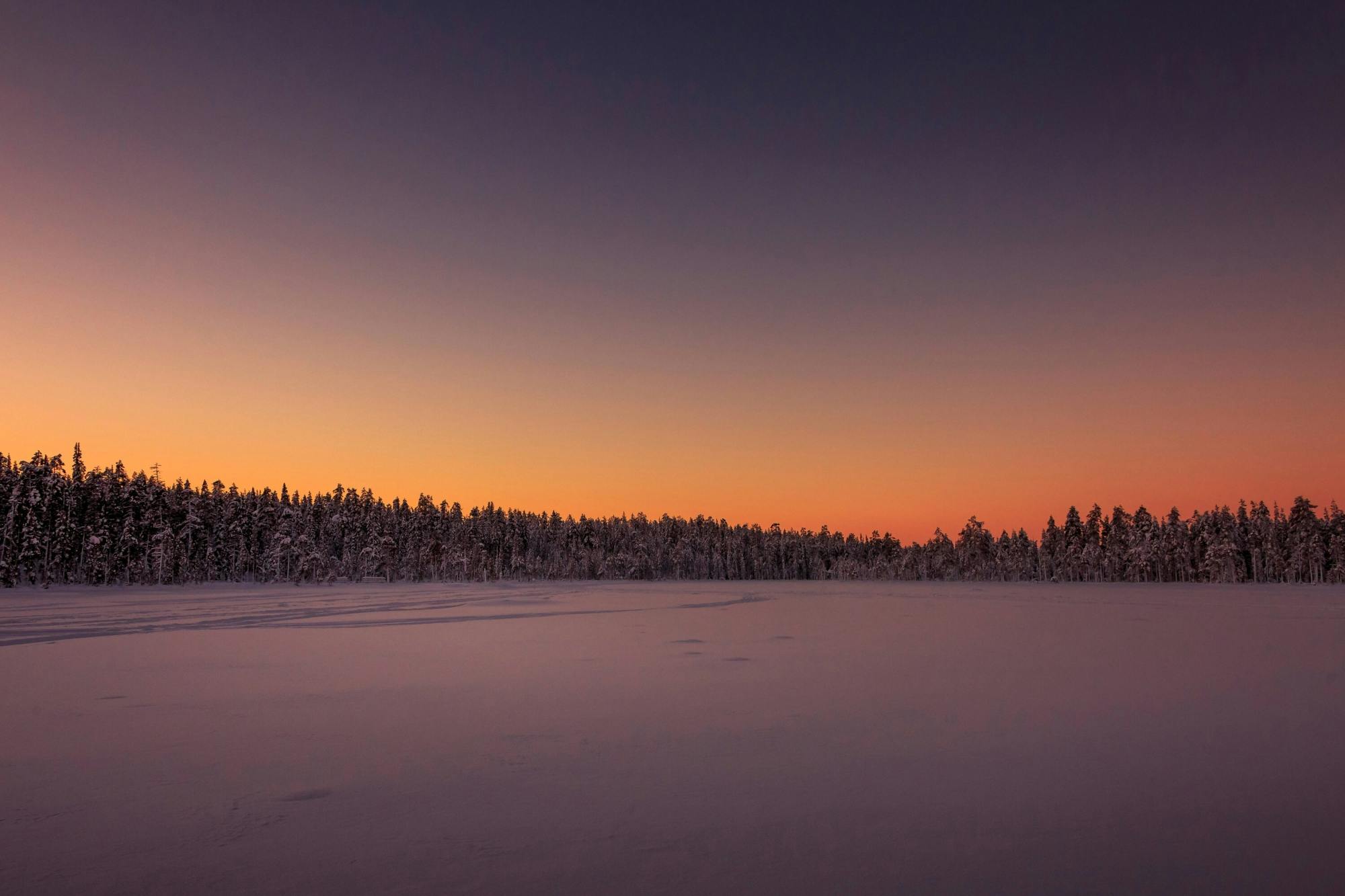 Kuusamo Snowmobile Night Tour