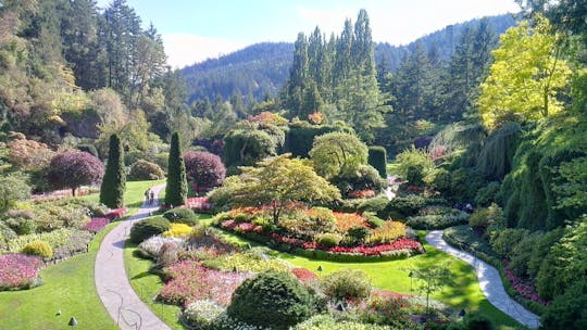 De Butchart Gardens Express-shuttleservice