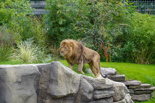 Kölner Zoo Tickets mit Aquarium