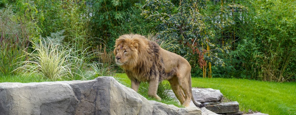 Cologne Zoo tickets with aquarium