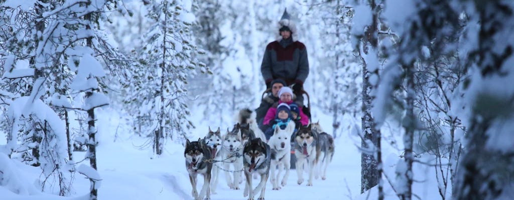 10 km zelfrijdend Husky-slee-avontuur in Rovaniemi