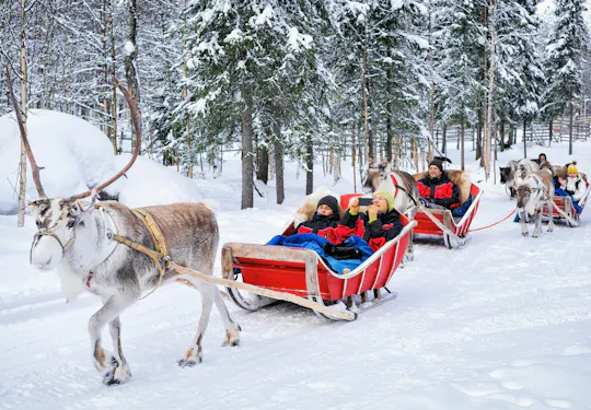 Erlebnis Rentierfarmbesuch in Rovaniemi