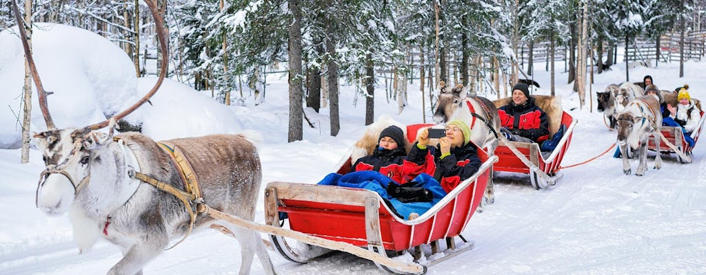 Reindeer farm visit experience in Rovaniemi