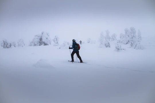 Snowshoeing Guided Tour