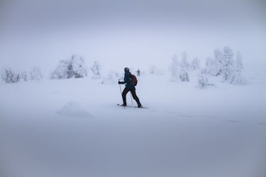 Snowshoeing guided tour