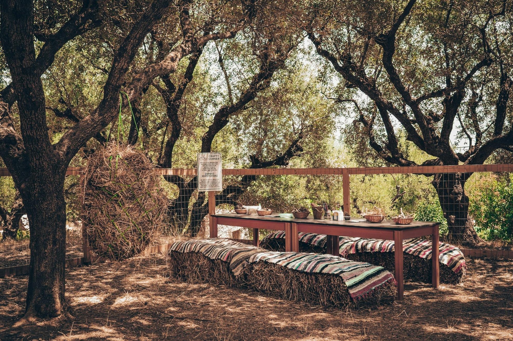 Zante Little Farm Tour