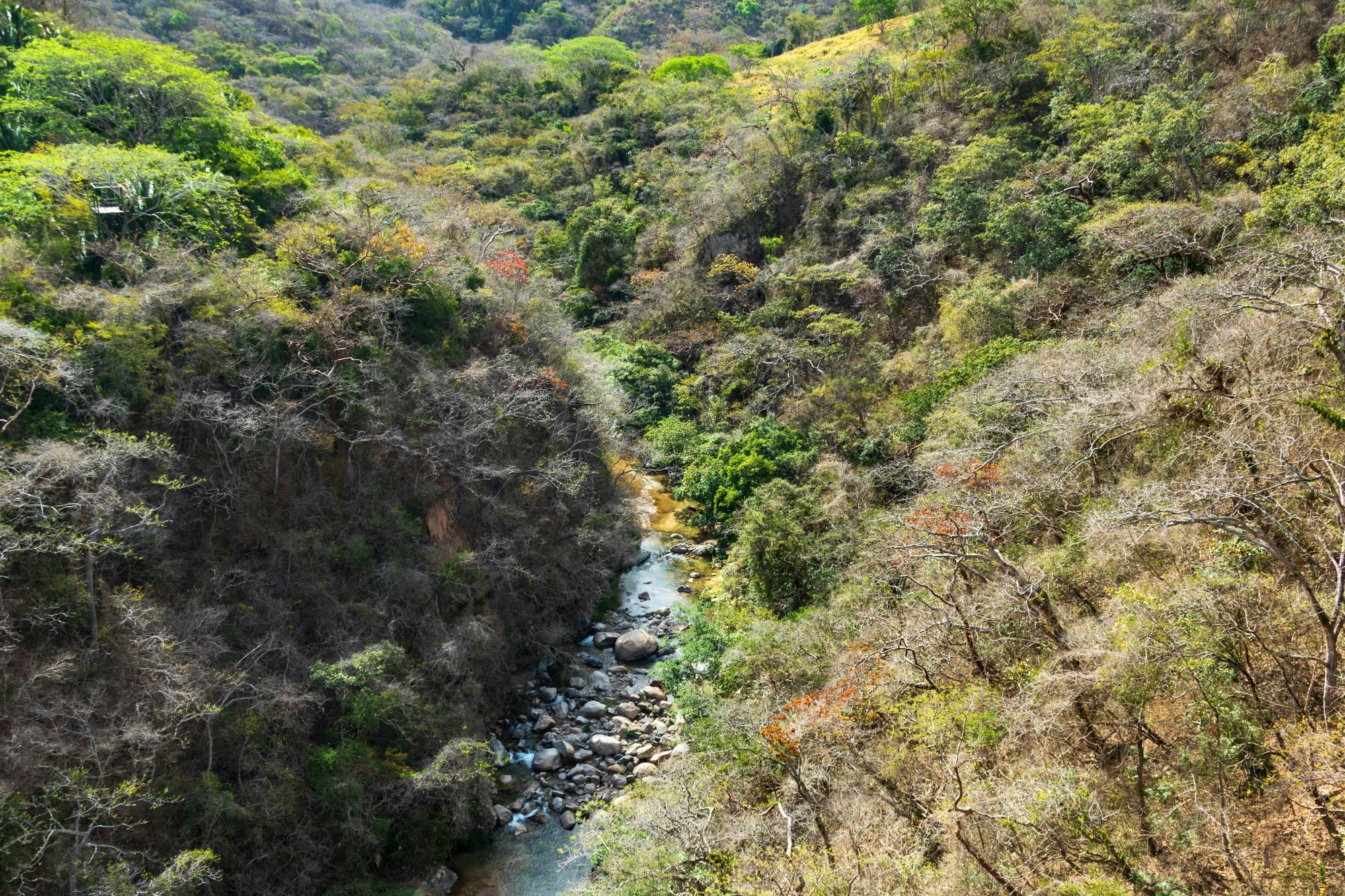 Jorullo Bridge ATV and Ziplining Combi Tour