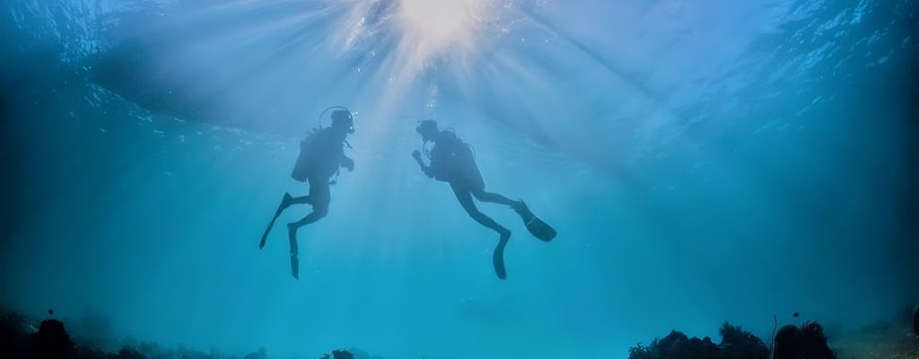 Escursione subacquea di mezza giornata nell'Area Marina Protetta di Tavolara