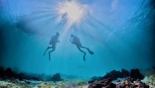 Escursione subacquea di mezza giornata nell'Area Marina Protetta di Tavolara