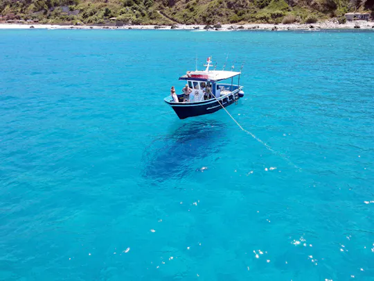 Pizzo Tour di mezza giornata in barca