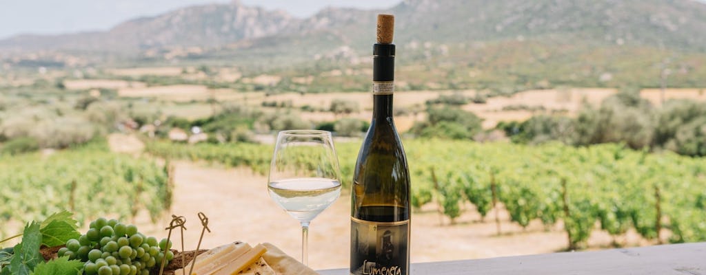 Guided winery tour and tasting in Olbia