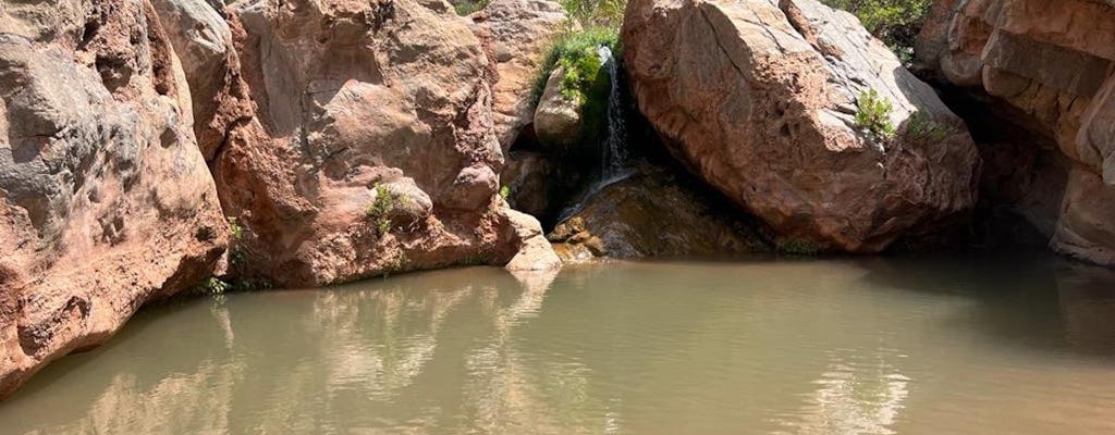 Half-day guided tour to berber Oasis with short trekking
