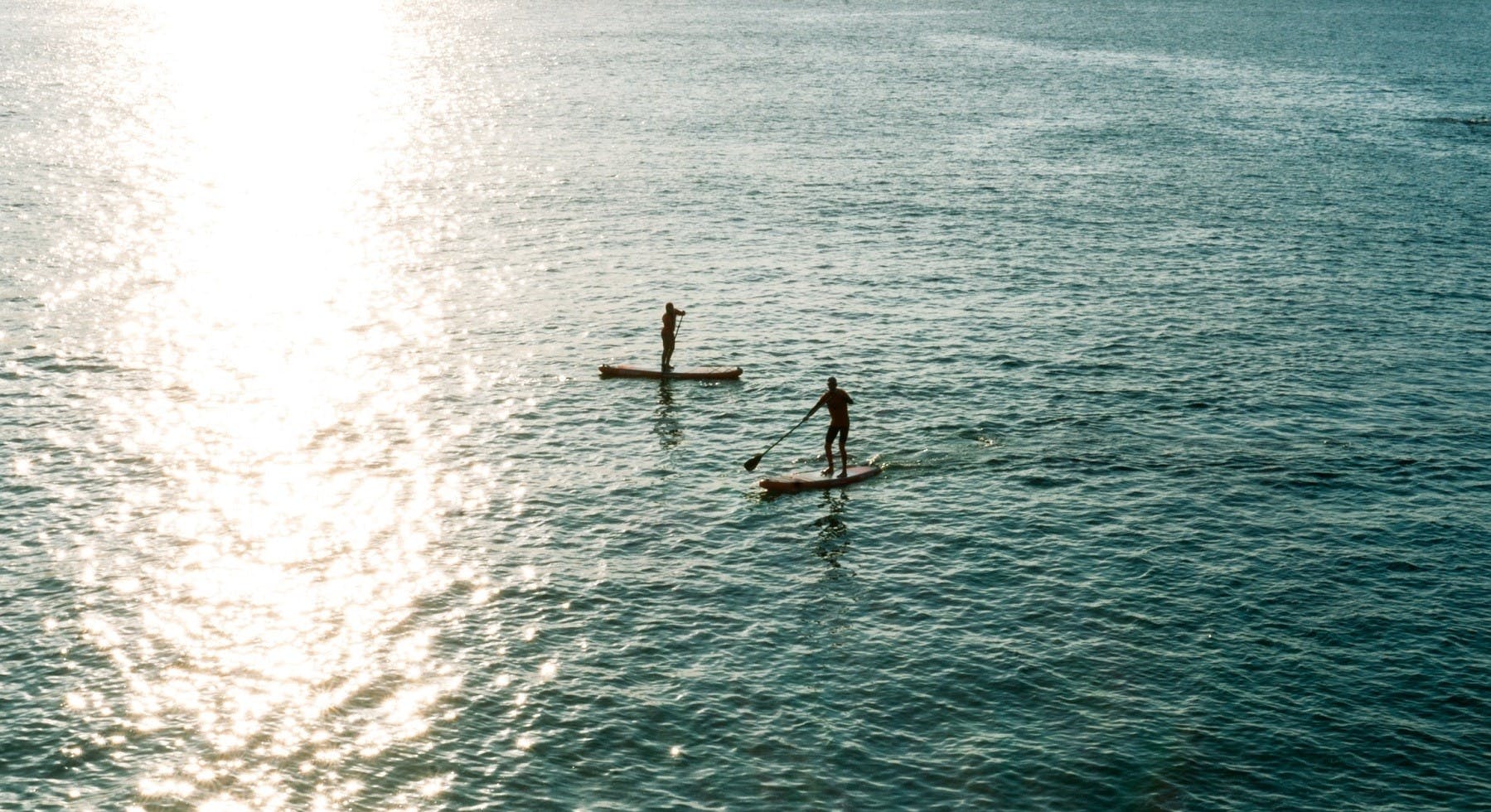 Paddleboard taster and guided tour in Newquay