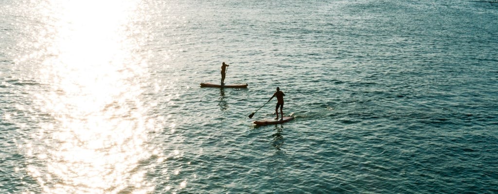 Paddleboard taster and guided tour in Newquay