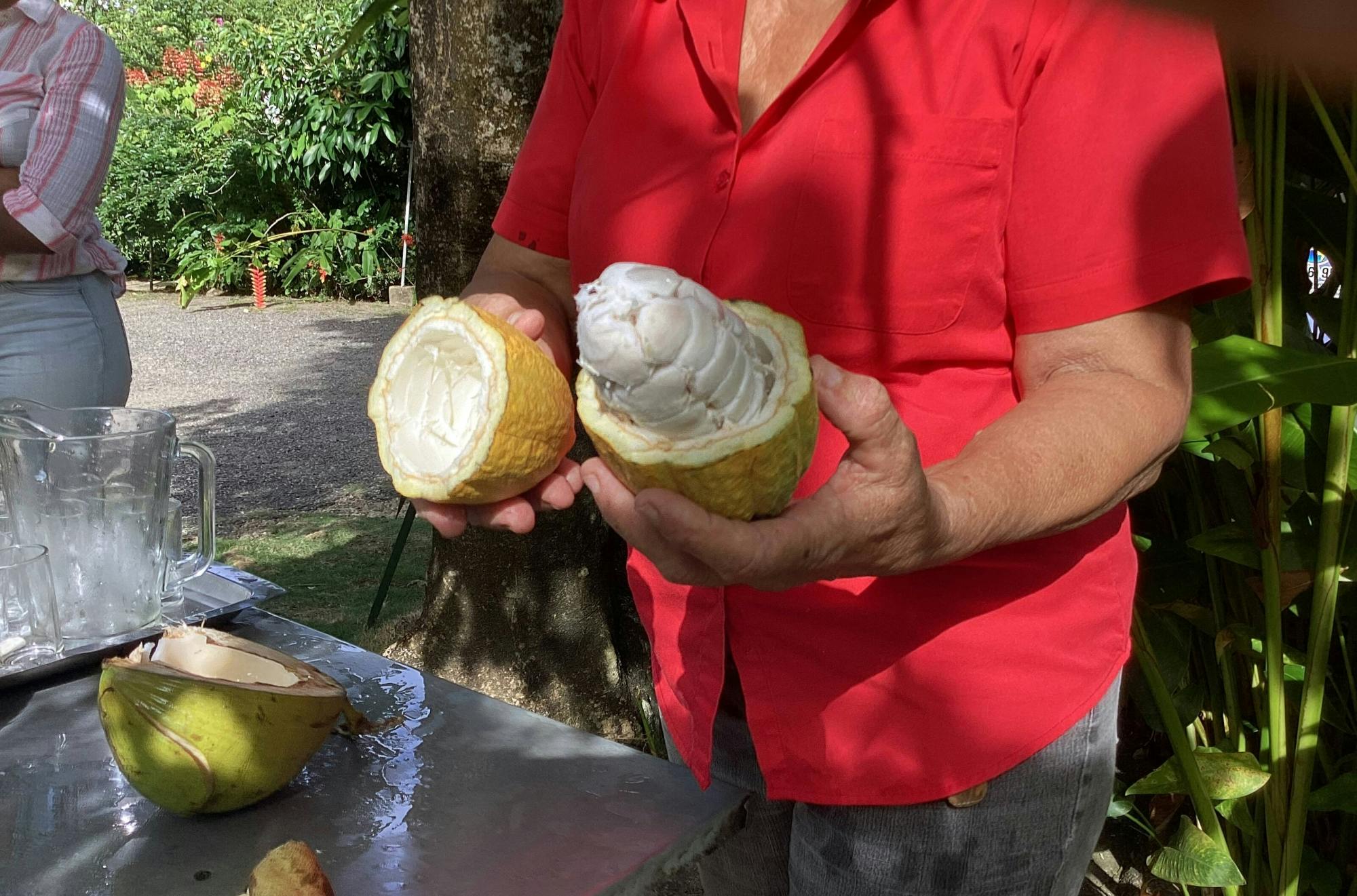 Spirit of the Maroons Cultural Tour in Jamaica