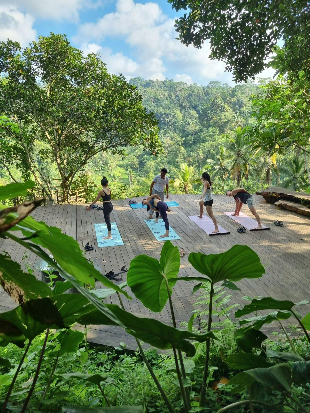Sunrise yoga, holy bathing and palm reading experience in Bali